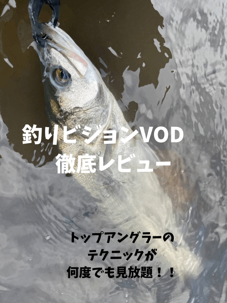 【完全保存版】釣りビジョンVOD徹底レビュー｜リバーシーバス好き必見の神サービス！無料体験で川の熱狂を体感【RIVERIST】