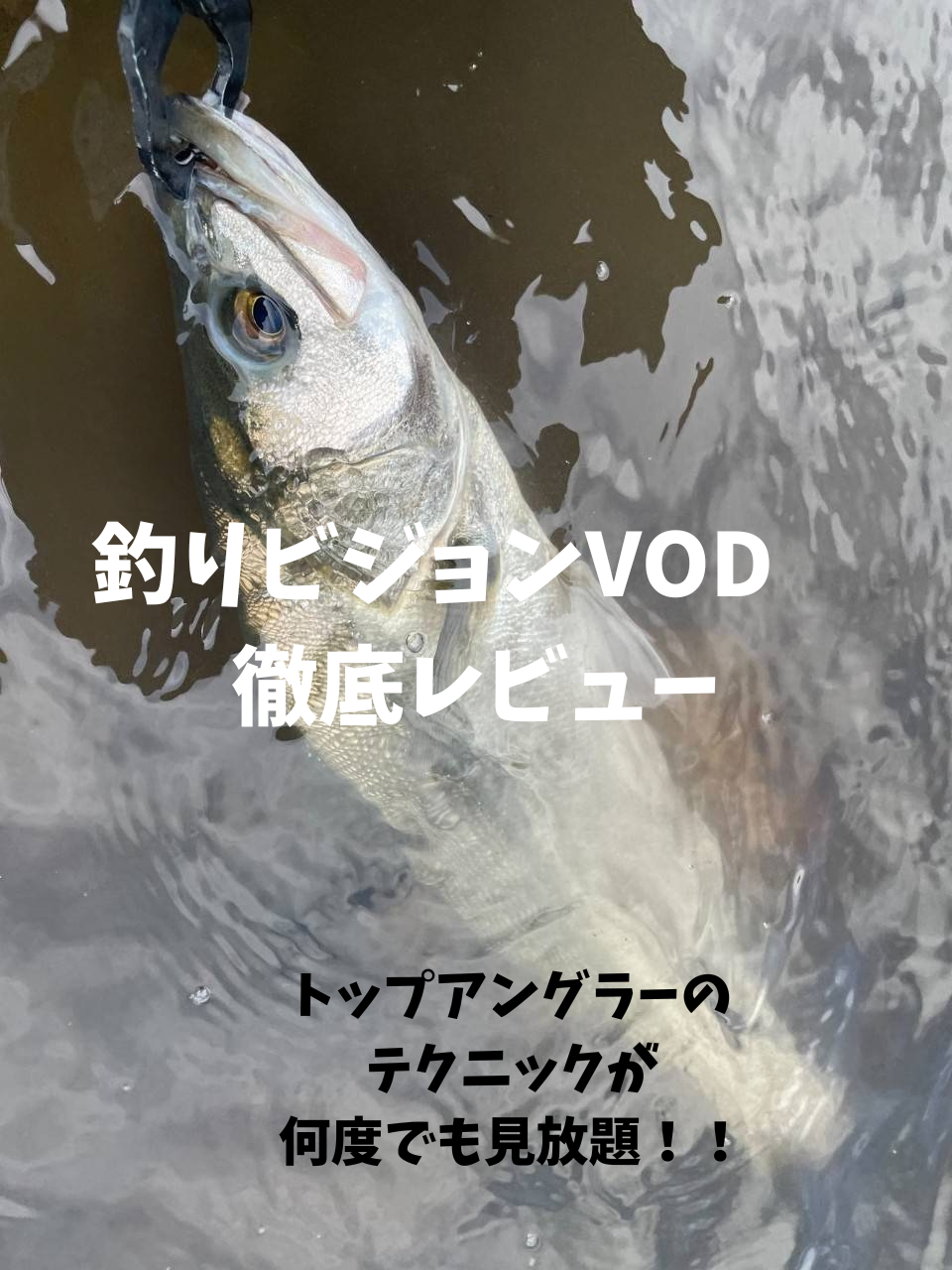 「【完全保存版】釣りビジョンVOD徹底レビュー|リバーシーバス好き必見の神サービス!無料体験で川の熱狂を体感【RIVERIST】」のアイキャッチ画像