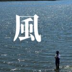 リバーシーバスと風の関係｜向かい風・追い風・横風を味方にする攻略法【RIVERIST】