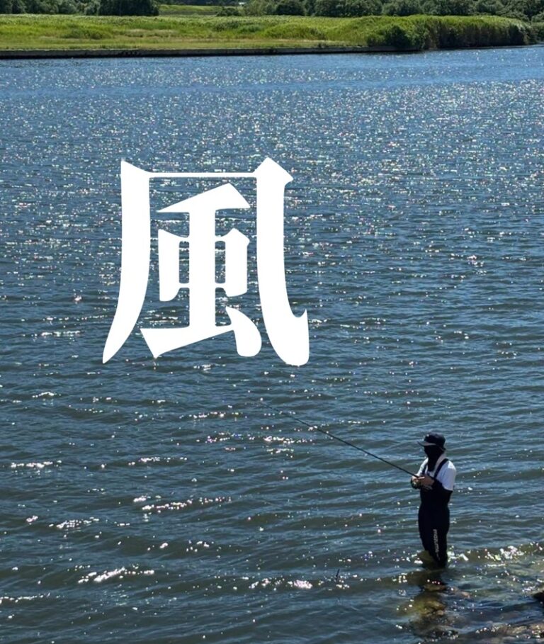リバーシーバスと風の関係｜向かい風・追い風・横風を味方にする攻略法【RIVERIST】
